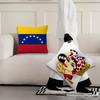 Estetisk konst Venezuela kuddfodral mjukt Bekvämt örngott för soffa vardagsrum hemmakontor inredning Skyddsfodral