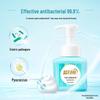 Blue Moon Foaming Antibacterial Hand Wash (Fresh Fruit Mint)