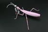 Fujimi Model Free Research Series 232 Evangelion Edition Giant Mantis Unit 8 Specification Free No. Research-232