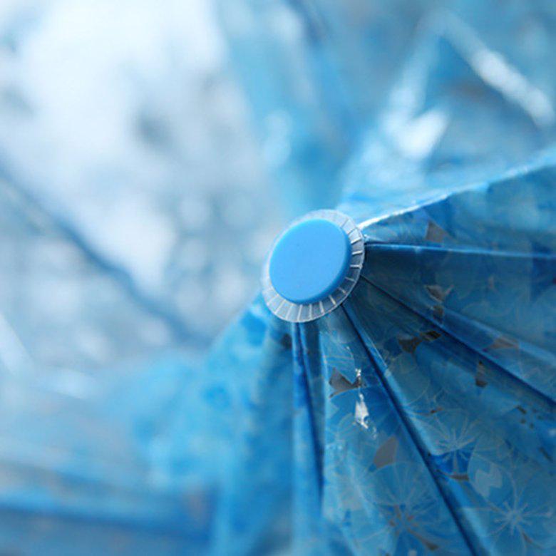 Buy HM Women Folding Cherry Clear Umbrella Three 8 Rib Windproof at affordable prices — free