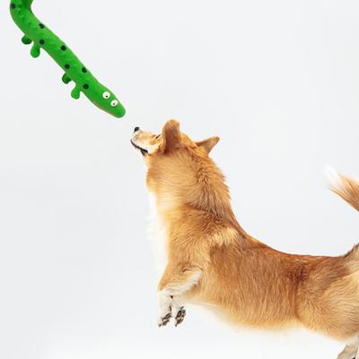 Haustier Quietschspielzeug Bissfest Gute Zähigkeit mit Soundeffekt Cartoon Eidechsenform Haustier Hund Kauspielzeug