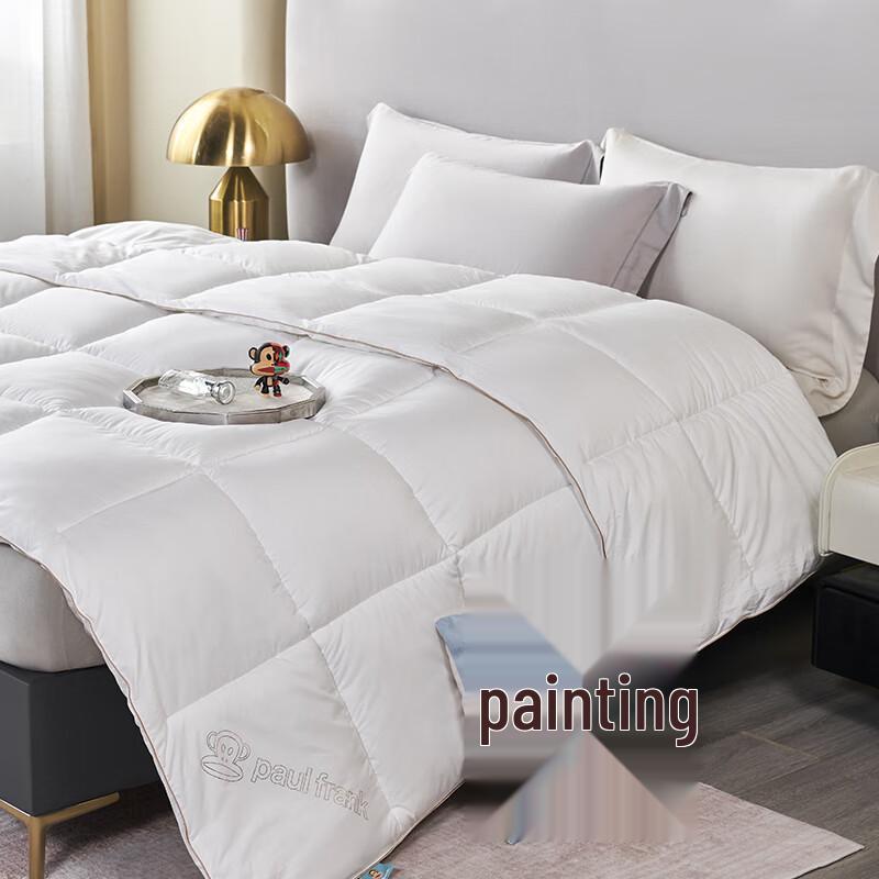 Paul Frank Polyester Winter Quilt 2400g