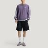adidas Originals 3 Stripes FW25 Crew Sweatshirt Striped Loose Fit Pullover Long Sleeve Men Sweatshirt KG3900