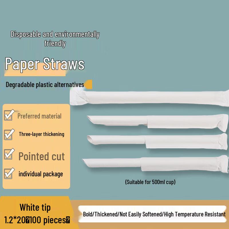 Homeglen Individually Wrapped Disposable Paper Straws