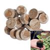 Peat Pellet Seed Compress Compact Plug Seed Starter Natural Coconut Fiber Germination Percentage Gardening Plant Transplanting