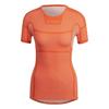 Womens/Ladies Terrex Dynamo Slim T-Shirt