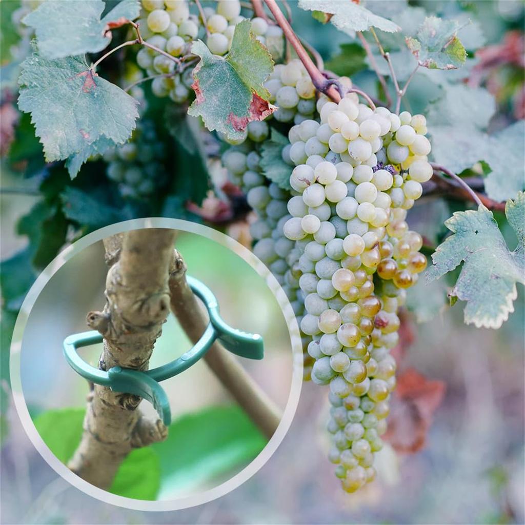 200PCS Garden Vine Strapping Clips Gardening Butterfly Buckle Plant Bundled Buckle Splay for Tomato Garden Plant Stand Tool