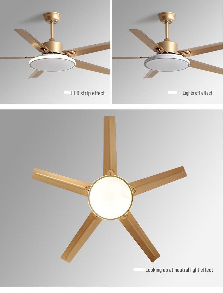 Modern Minimalist Ceiling Fan with Five Stainless Steel Blades, LED Light, Low Noise, and Frequency Conversion for Living Room or Dining Room.