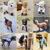Enjoying Dog Boots for Small Medium Large Dogs, Size 7, Adjustable Dog Boots for Winter Hiking, Anti-Slip Dog Booties for Summer Hot Pavement,