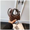 Niche mini bag women's summer new fashion messenger bag high-end portable dumpling bag