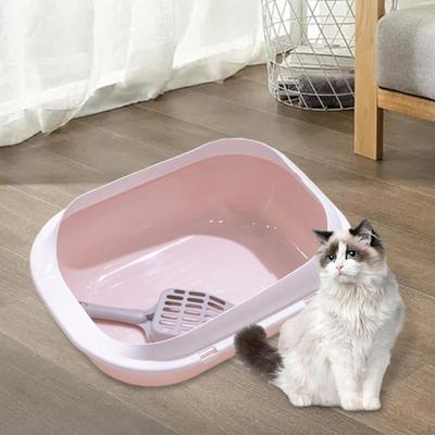 Gatos – Cuidados e higiene