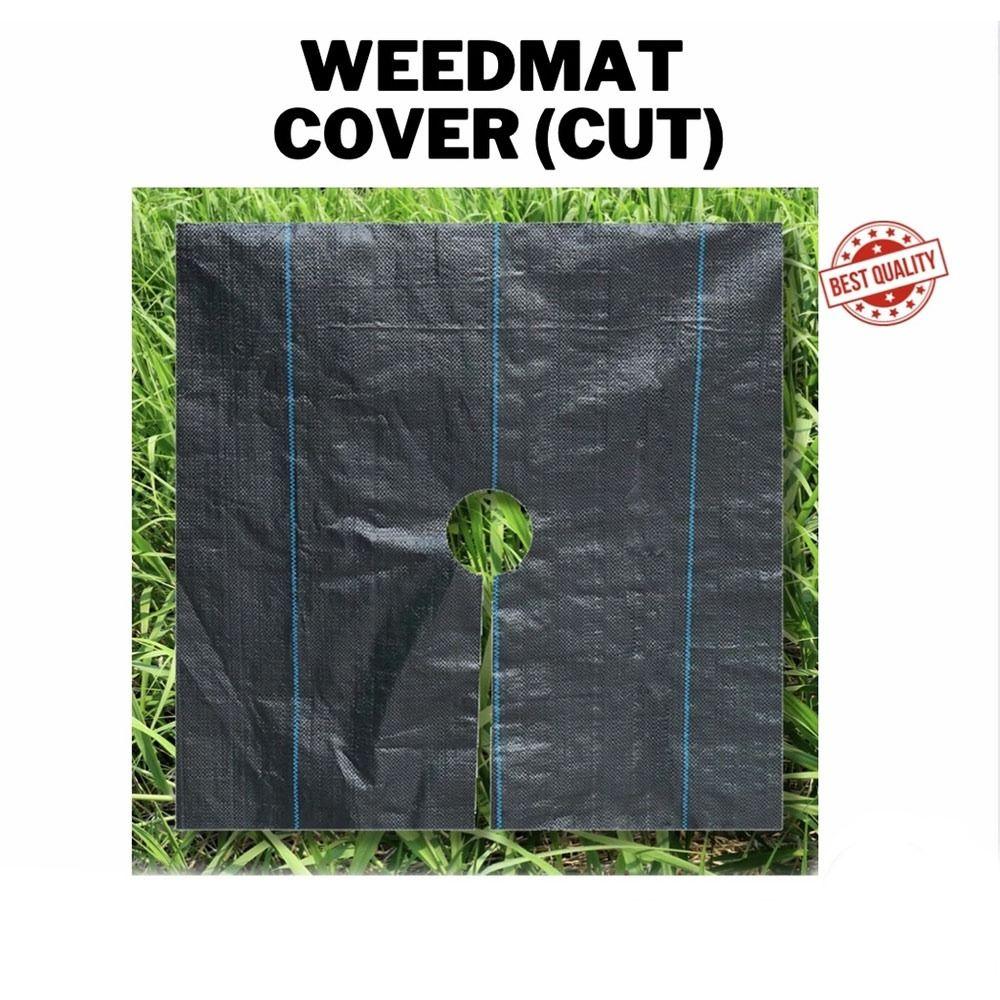 Water-permeabl Weed Control Fabric with Holes Fruit Tree Fabric Durable Grassland Plastic Film