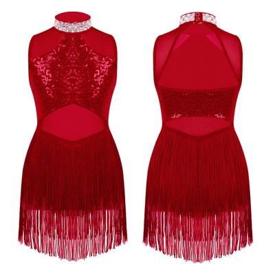 Girls Sparkly Dance Costume Shiny Rhinestone Collar Sequins Patchwork Design Mesh Tassel Hem Skirted Leotard