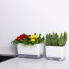 Self Watering Plant Pot with Drainage Holes High Strength Reusable