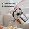 Supor Whistling 304 Stainless Steel Kettle