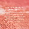 RMK Official RMK Pure Complexion Blush 08 Airy Coral (Powder Cheek Orange Pink Beige Coral Burgundy Gold Bronzer)