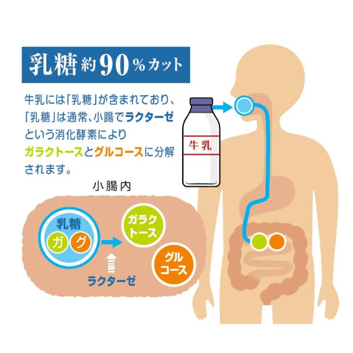 Beanstalk Yukijirushi Beanstalk Adult Powdered Milk Gentle on the Stomach