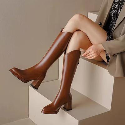 Shoes for Women Fashion Pointed Toe Thick Heel Women's Knee High Boots Winter Warm Brown Long Boots