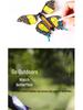 DIY Butterfly Art Kit for 6-Year-Olds - Creative Handmade Craft Pack for Girls