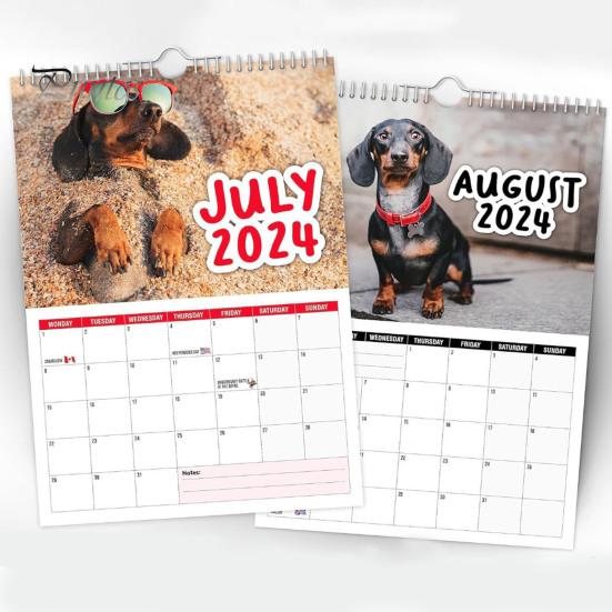 

Настенный календарь Cheeky Dachshunds с забавным принтом собаки, просторное место для письма с отверстием для подвешивания, календарь для собак на 2024 год
