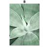 Tropical Plant Leaves Wall Art Canvas Paintings Rabbit Tails Grass and Flowers Posters and Prints Scandinavian Room Decoration