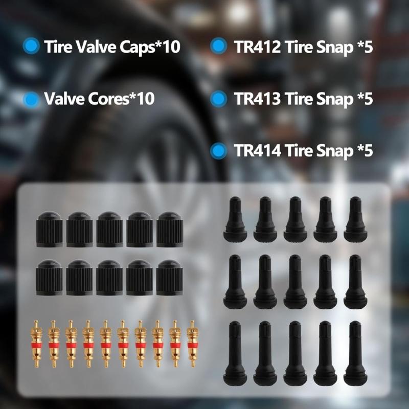 Professional Tire Valves Stem Replacement Tool Set Includes 45 Piece Cores Puller & Installer for Various Vehicle Types
