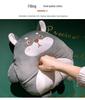 Cartoon 2-in-1 Cushion & Blanket: Dual-Use Hand Warmer, Leg Cover, Nap Pillow Doll for Office