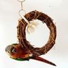 Parrot Natural Rattan Ring Hanging Swing Toys Perch Stand Chew Toys Bird Cage Accessories Pet