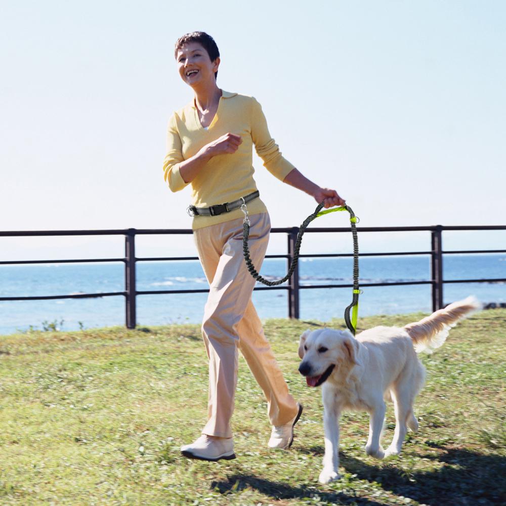 Professional 2022 New Reflective Leash Traction Rope Pet Dog Running Belt Elastic Hands Freely Jogging Pull Dog Leash Metal D-ring Leashes