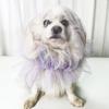 Copricapo Traspirante per Cani Maschera Protettiva per Animali Domestici Copricapo Confortevole Anti-Morso Copricapo Anti-Zanzare Prevenzione Mangiare Casuale
