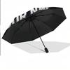 8 Rib Auto Folding Umbrella Poland Print Custom Name Text Portable Rain Gear