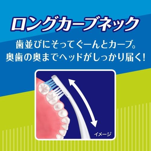 Clear Clean Molar Plus Compact Normal 6-piece Set (*Color Cannot Be Selected)