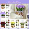 Marigold Tulip Material Pack With Basket For Cryptic Twisted Stick Hair Root Hair Strips
