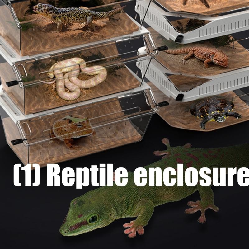 High Ventilation Reptiles Terrariums For Small Pet Transparent Easy Monitoring Design Small Pet Habitat Enclosure Box