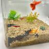 Aquariumzubehör 3D-Druck Fischversteck Höhle Betta-Unterschlupf Dekorative Künstliche Ruhehöhle Kunststoff-Fischtunnel Aquarien