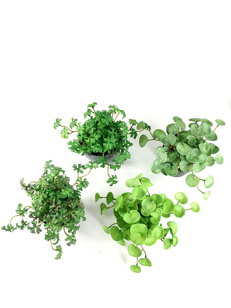 Huashe Red Air Succulent: Creative Faux Green Plant for Home Décor