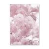 Nordic Minimalist Pink Flower Poster Peony Cherry Blossom Chrysanthemum Quotes Canvas Painting Wall Art Pictures for Home Decor