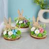 Easter Eggs Rabbit Decorations Wood Plastic Indoor Outdoo Family Activity Supplies Desktop Ornament