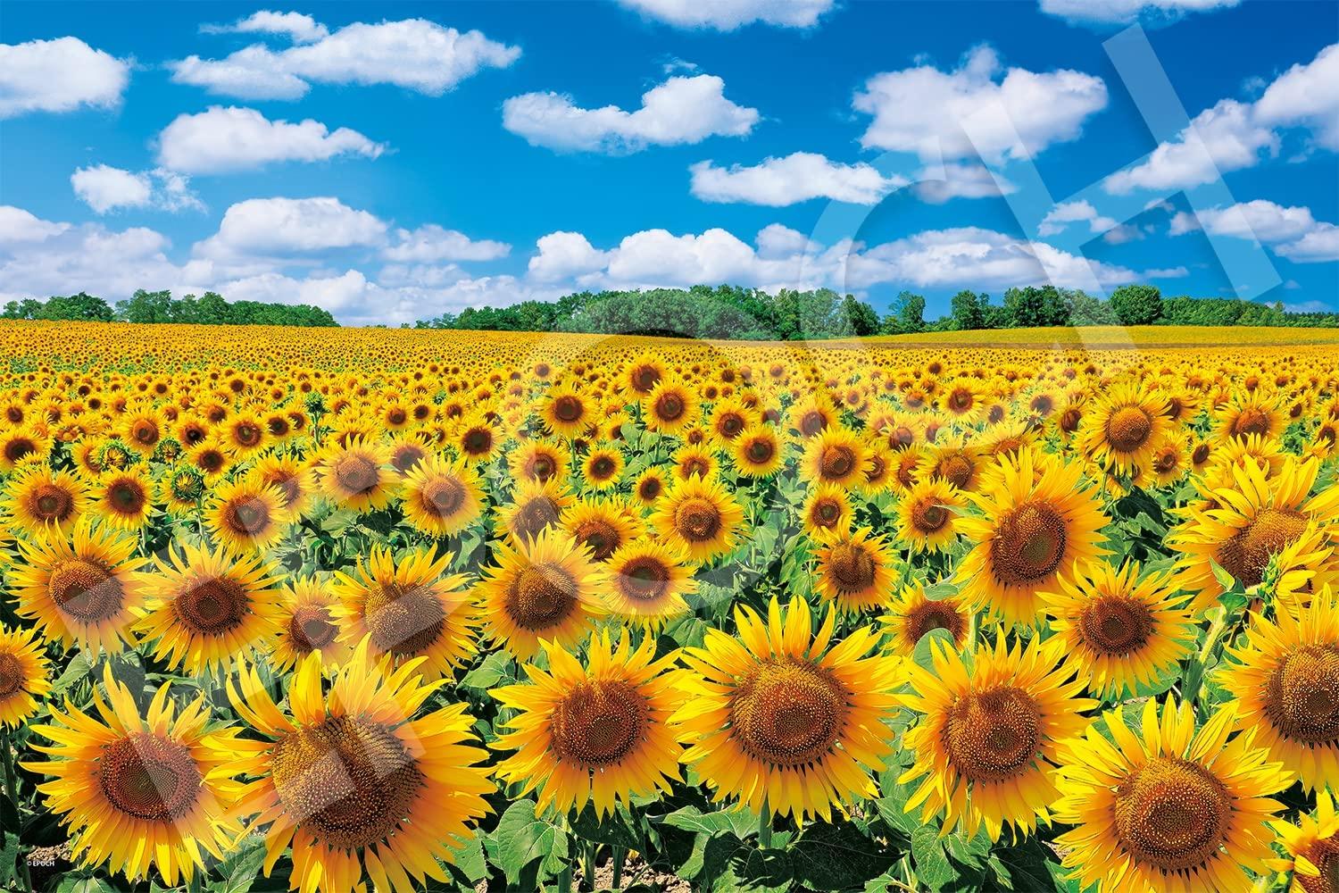 

Epoch Jigsaw Japanese Sunflower Village in the Sunshine Hokkaido Includes and Score Ticket 1000-Piece Puzzle Landscape - (50x75cm) 09-029s, Glue,
