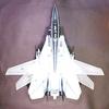 Tamiya 1/32 Aircraft Series No. 13 U.S. Navy Grumman F-14A Tomcat Black Knights Plastic Model Kit 60313