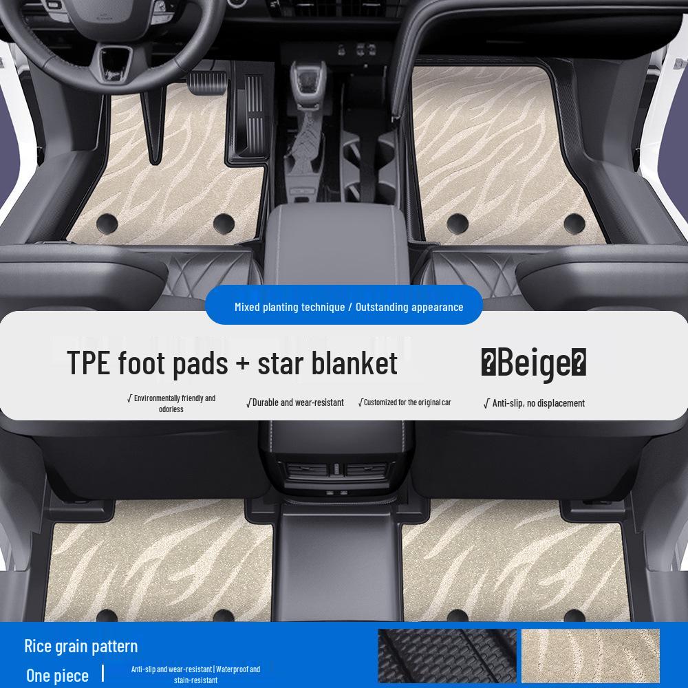 Toyota RAV4 Wildlander Platinum BZ3X/BZ5TPE Car Floor Mats & Door Sill Protection