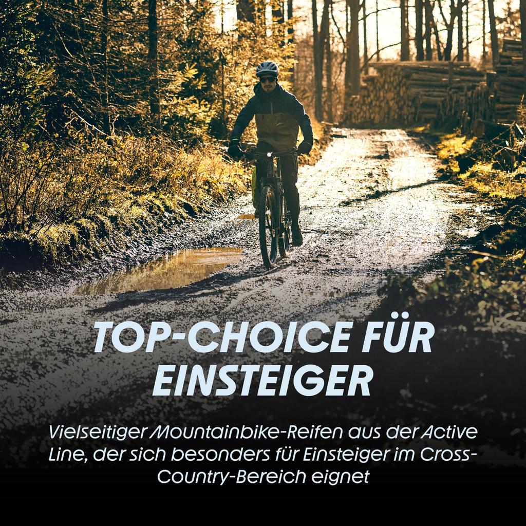 SCHWALBE Rapid Rob 27.5 X 2.10 Wire Bead Wheels for MTB and All-Terrain (Black, 11101394)