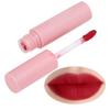 3pcs Dual Use Long Lasting Matte Lip Gloss Matte Waterproof Lip Glaze Makeup Tool PF M01(#204 )