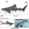 Marine Life Cognitive Toy Set: Sperm Whale, Shark, Bowhead Whale, Blue Whale