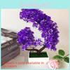 Plastic Fake Flower Bonsai With Chrysanthemum For Living Room Decor