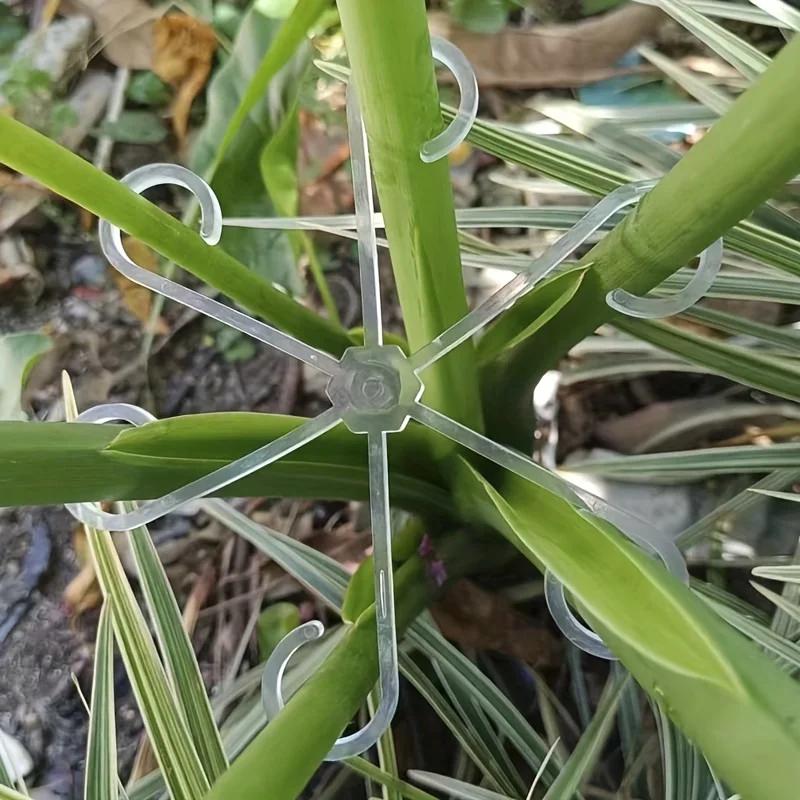 4 Plastik Bitki Destek Klipsi, Şeffaf Yeşil Asma Tırmanma Çerçevesi, Sabitleme ve Dik Büyüme için Ayarlanabilir Bitki Sapı Klipsleri