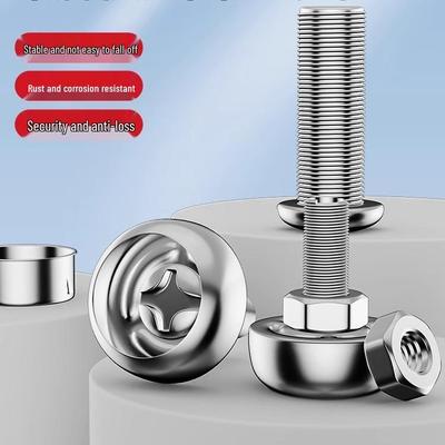 Universal Anti-theft Stainless Steel License Plate Screws and Fixing Nuts