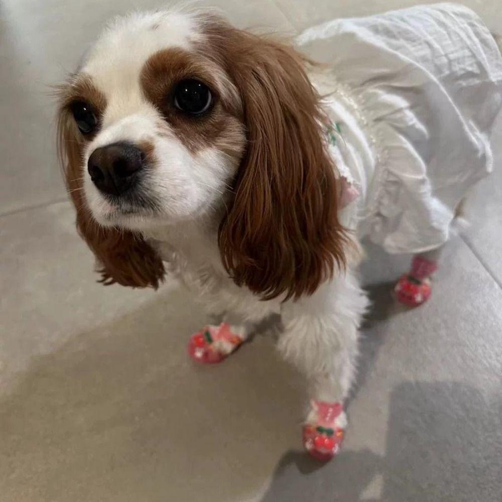 4Pcs/Set Cartoon Dog Summer Jelly Sandals Non-slip Hollow Puppy Shoes  Outdoor Hiking