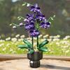 Non-Toxic Knew Built Purple Phalaenopsis Potted Building Block Toy-Diy Realistic Flowerideal Festival Gift For Childrencreative Home Decor