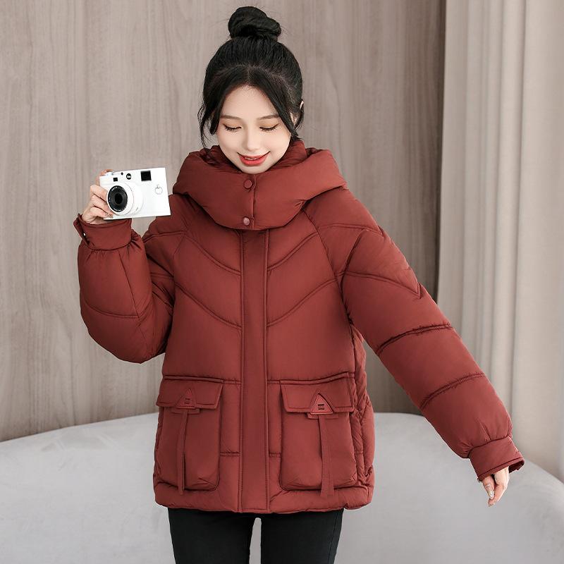 Winter New Down Padded Jacket Women's Short Thickened Loose Padded Jacket Versatile Warm Padded Jacket Tide